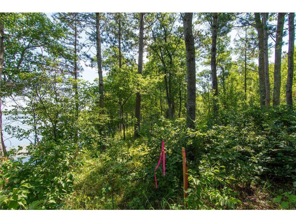 Tbd Hartley Lake Road Brainerd, MN 56401 - Photo 11 of 12 Gallery Image 11