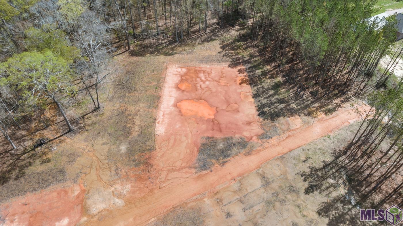 38510 Leggett Road Walker, LA 70785 - Photo 2 of 9