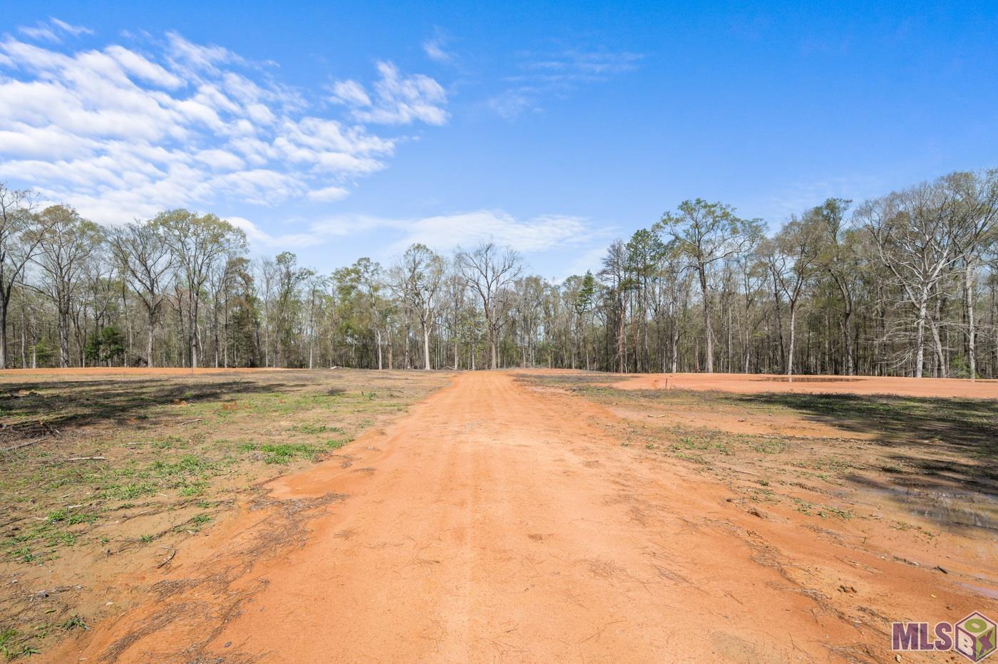 38510 Leggett Road Walker, LA 70785 - Photo 3 of 9