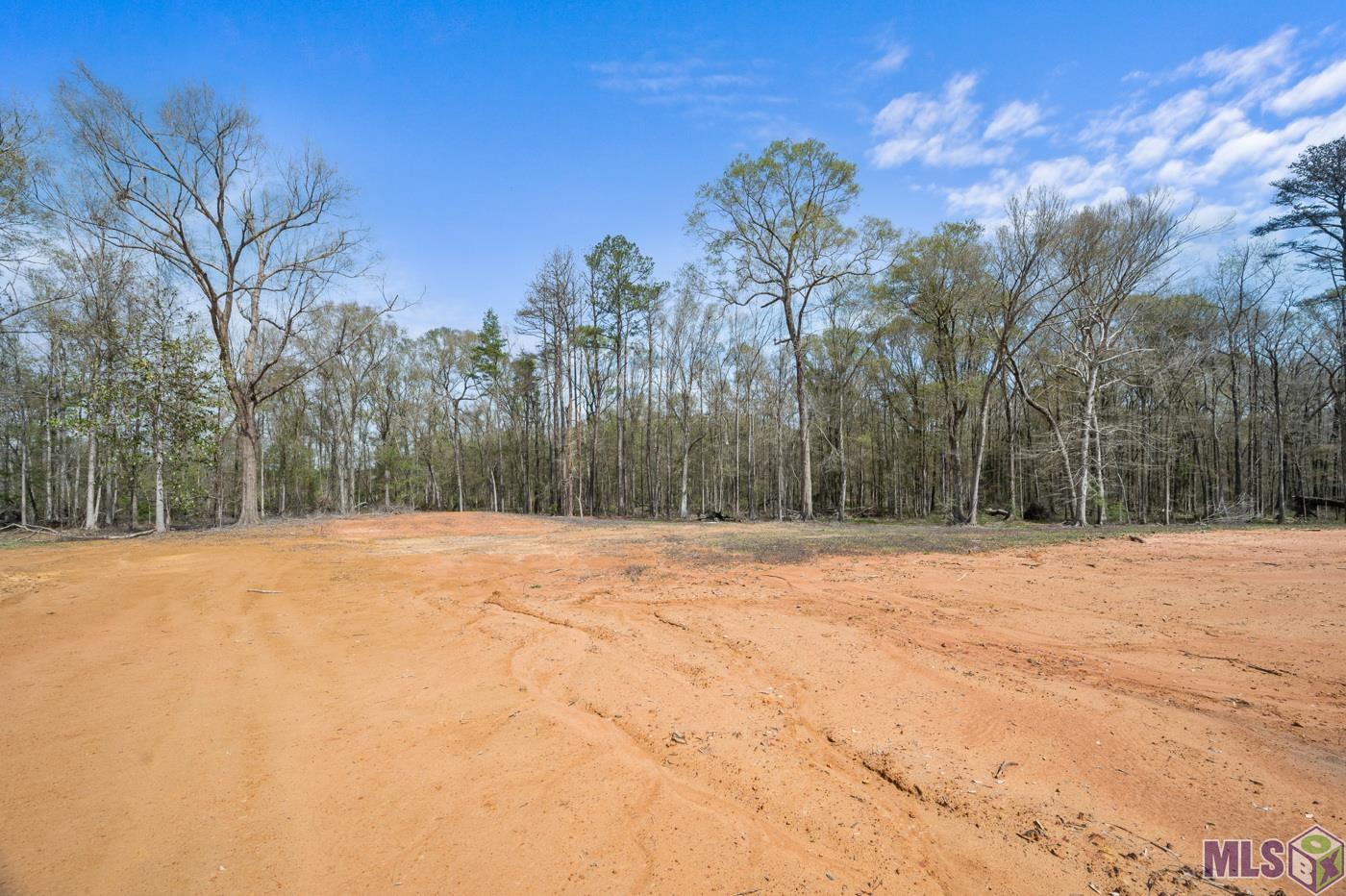 38510 Leggett Road Walker, LA 70785 - Photo 4 of 9