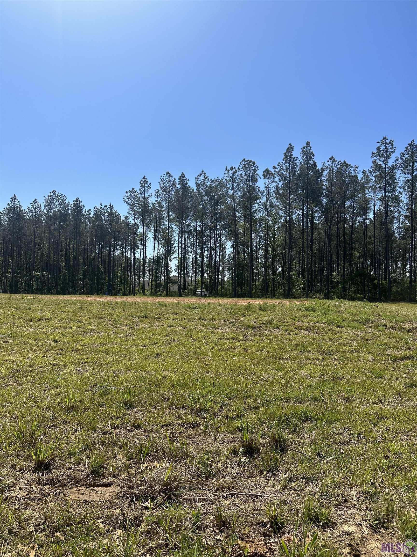 38510 Leggett Road Walker, LA 70785 - Photo 5 of 9