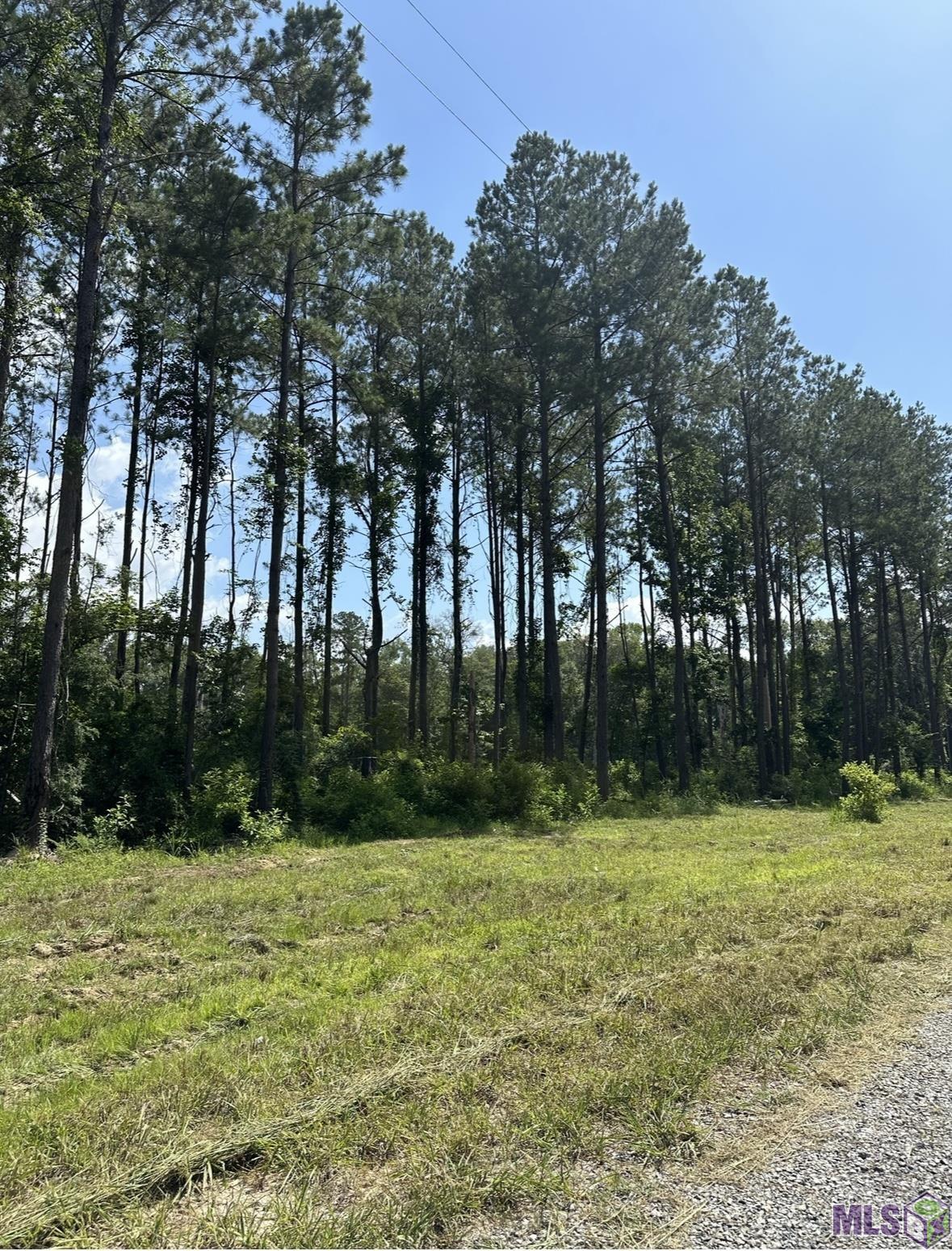 38510 Leggett Road Walker, LA 70785 - Photo 6 of 9