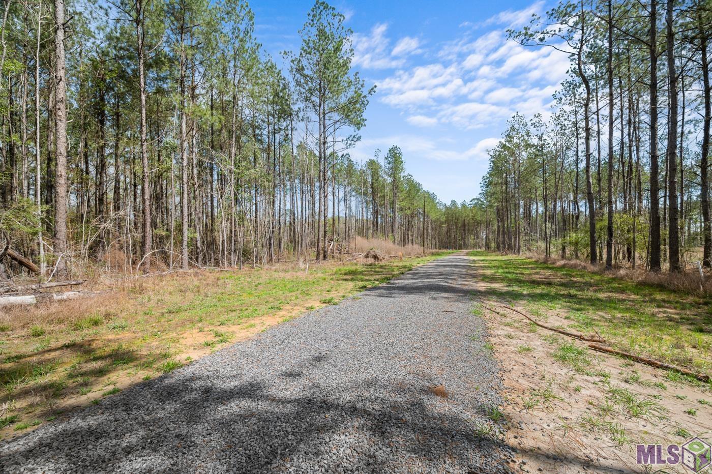 38510 Leggett Road Walker, LA 70785 - Photo 8 of 9