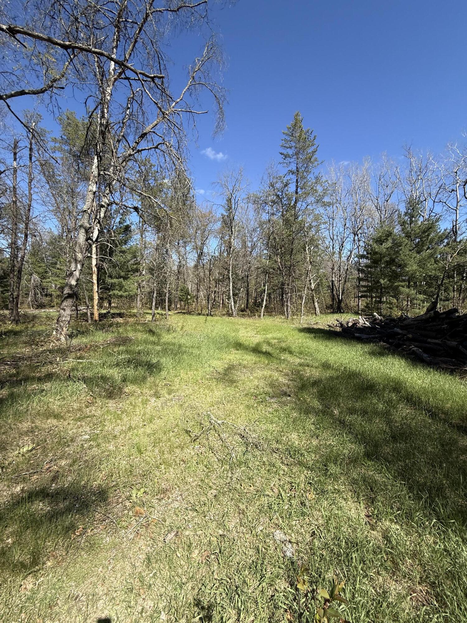 4097 South Michway Road Baldwin, MI 49304 - Photo 13 of 20 IMG_0536