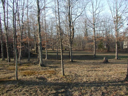 159 Pitts Gap Road Graysville, TN 37338 - Photo 4 of 7 Additional Photo