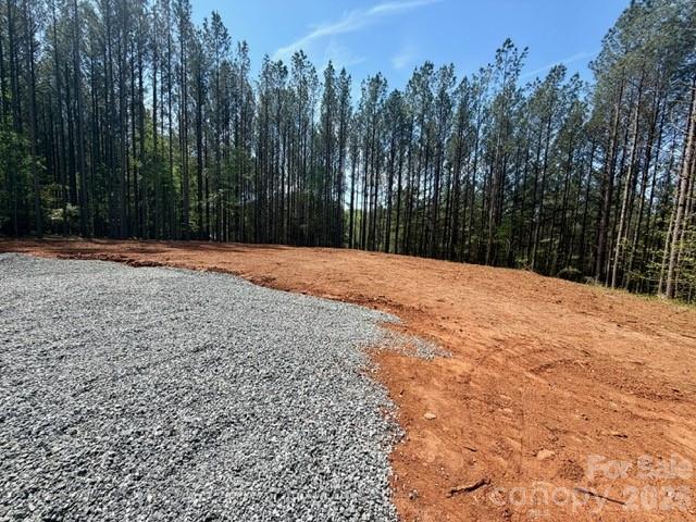 430 Clearwater Parkway Rutherfordton, NC 28139 - Photo 11 of 15