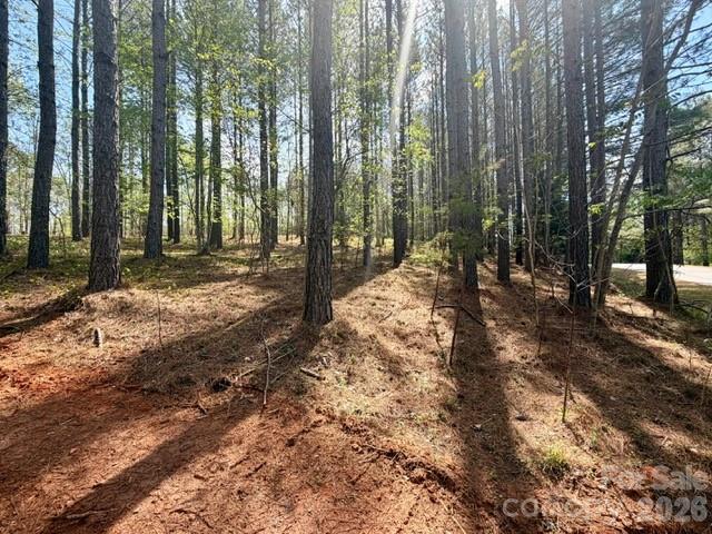 430 Clearwater Parkway Rutherfordton, NC 28139 - Photo 12 of 15
