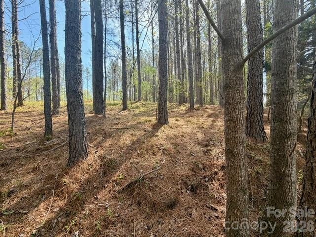 430 Clearwater Parkway Rutherfordton, NC 28139 - Photo 13 of 15
