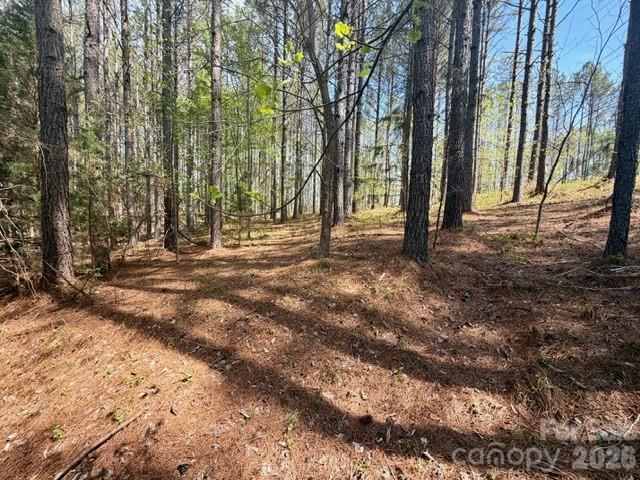 430 Clearwater Parkway Rutherfordton, NC 28139 - Photo 14 of 15