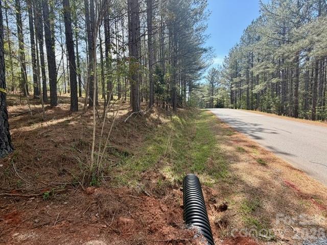 430 Clearwater Parkway Rutherfordton, NC 28139 - Photo 3 of 15