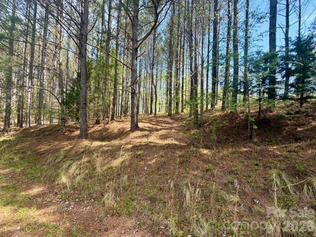 430 Clearwater Parkway Rutherfordton, NC 28139 - Photo 4 of 15