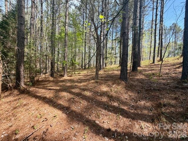 430 Clearwater Parkway Rutherfordton, NC 28139 - Photo 5 of 15