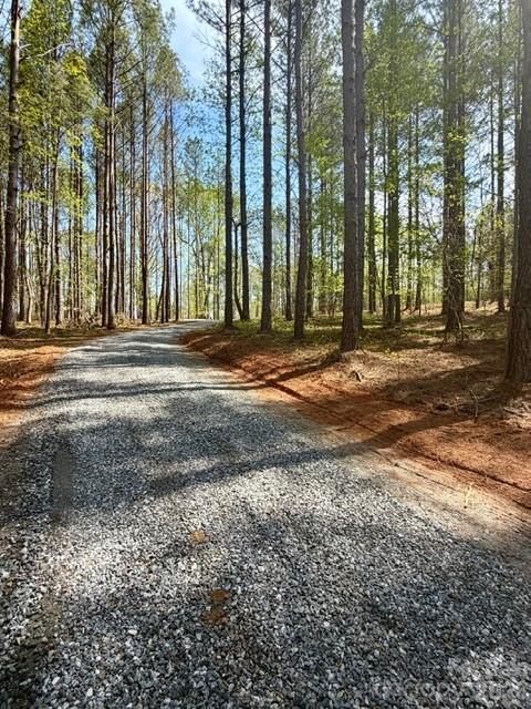 430 Clearwater Parkway Rutherfordton, NC 28139 - Photo 6 of 15