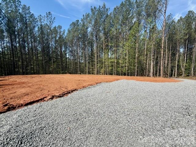 430 Clearwater Parkway Rutherfordton, NC 28139 - Photo 10 of 15