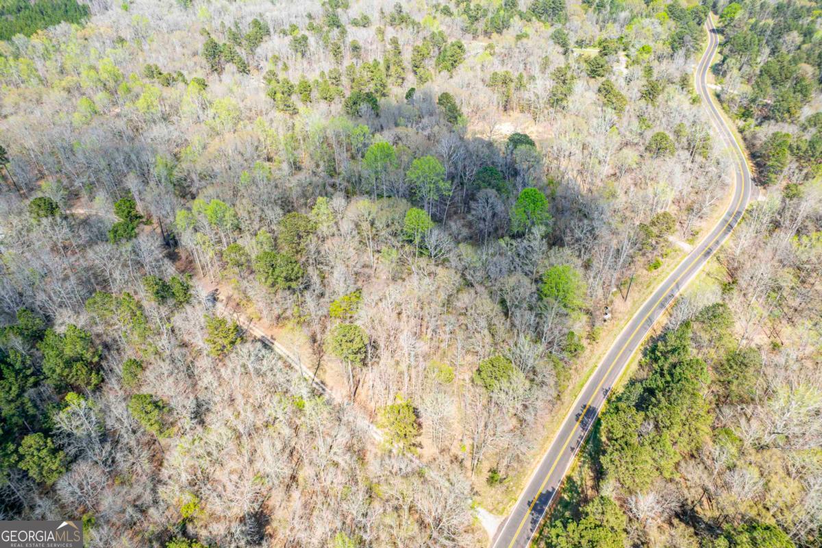 357 Old Copelan Road Southeast Eatonton, GA 31024 - Photo 12 of 15 a view of a forest with a tree