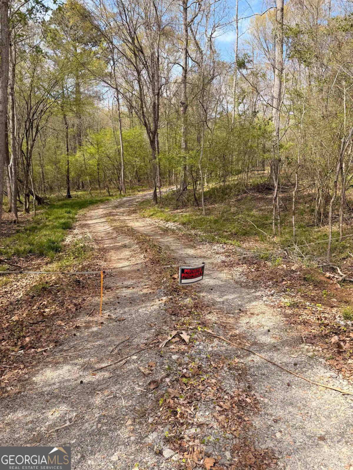 357 Old Copelan Road Southeast Eatonton, GA 31024 - Photo 15 of 15 a backyard of a house with lots of green space