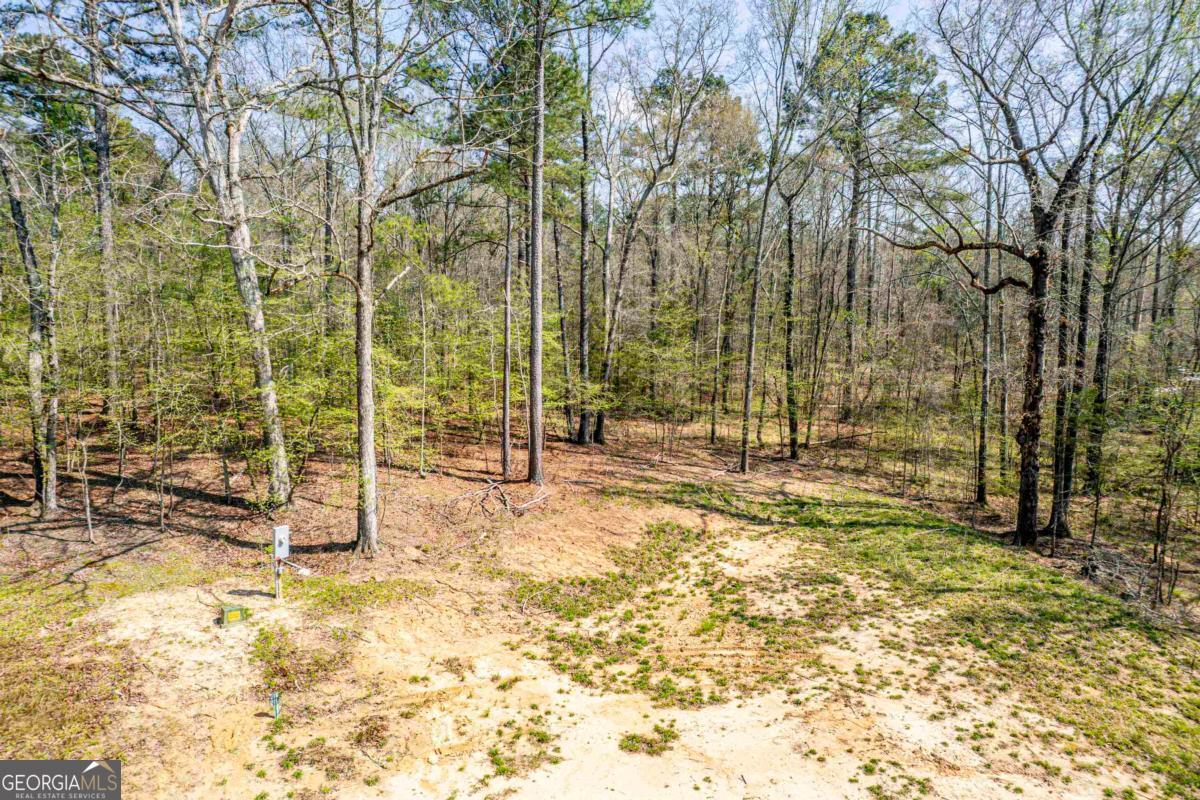 357 Old Copelan Road Southeast Eatonton, GA 31024 - Photo 2 of 15 a view of under construction area