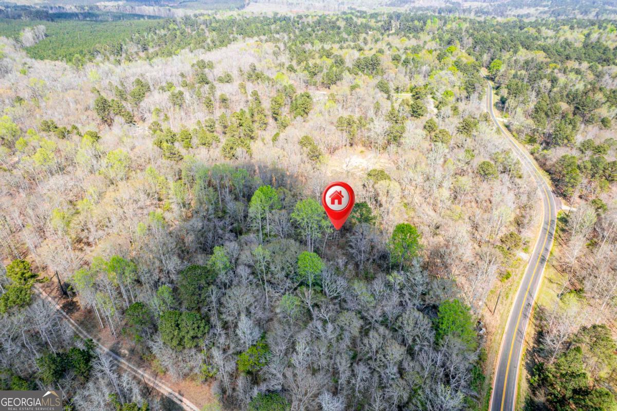 357 Old Copelan Road Southeast Eatonton, GA 31024 - Photo 8 of 15 a view of a tree with a yard