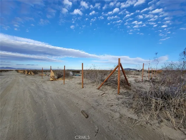 a view of a dry yard