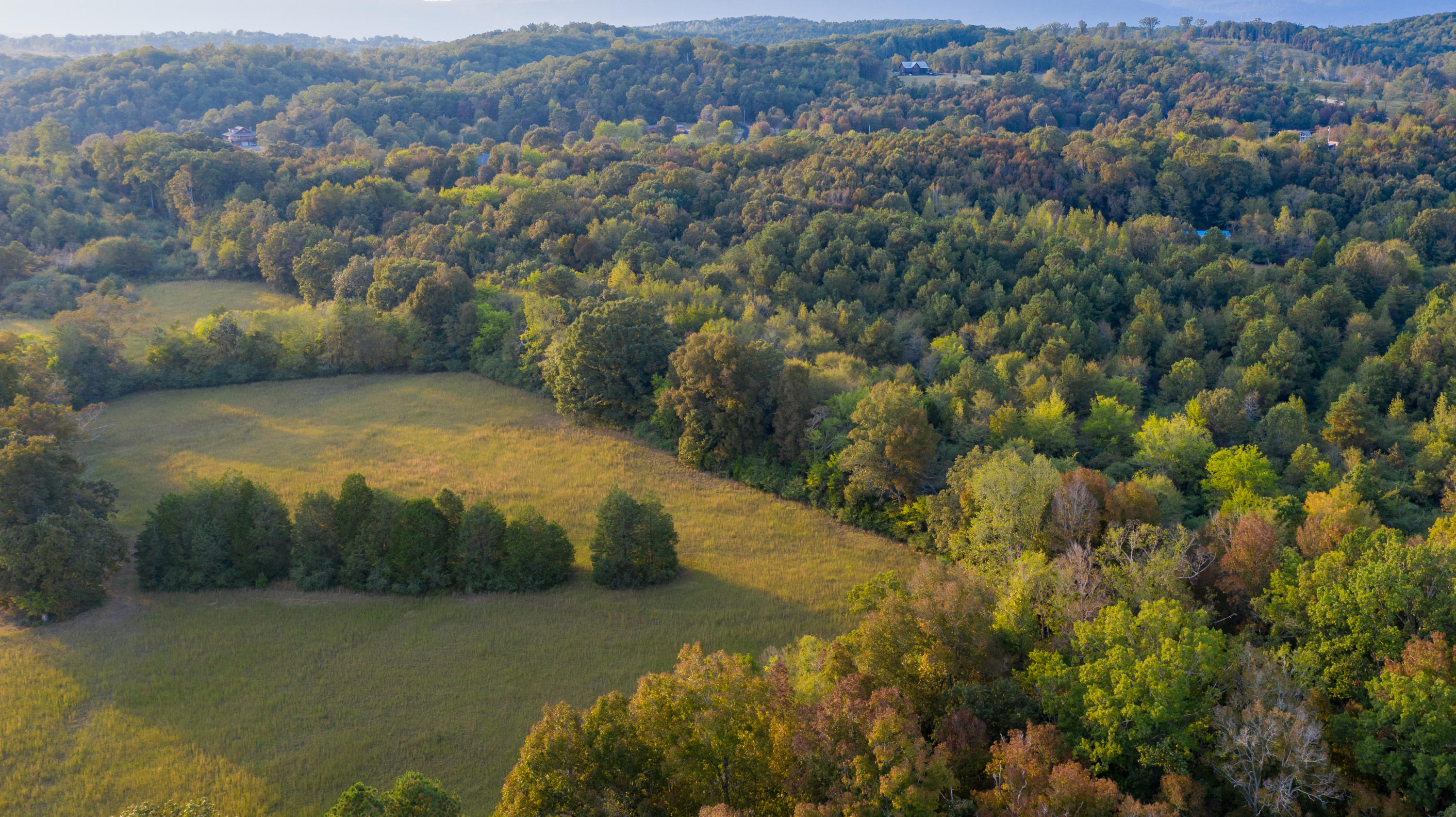 1930 Hair Lake Road Summerville, GA 30747 - Photo 1 of 6 DJI_0214