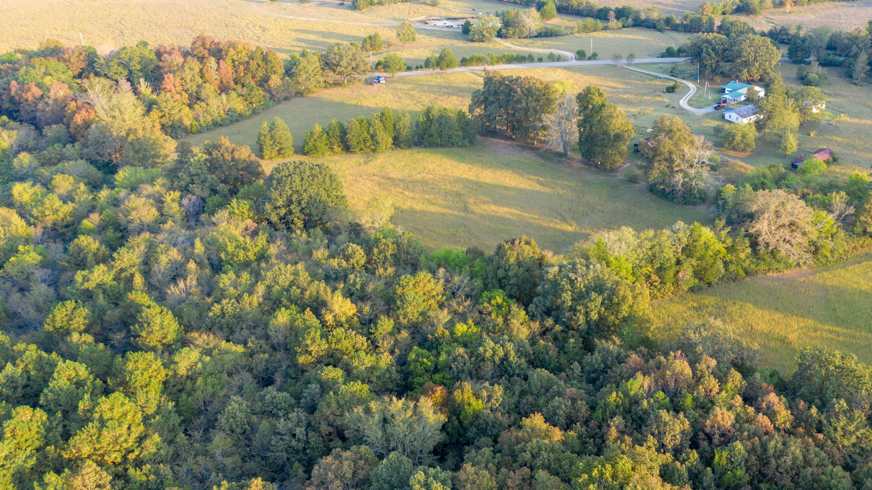 1930 Hair Lake Road Summerville, GA 30747 - Photo 2 of 6 DJI_0223