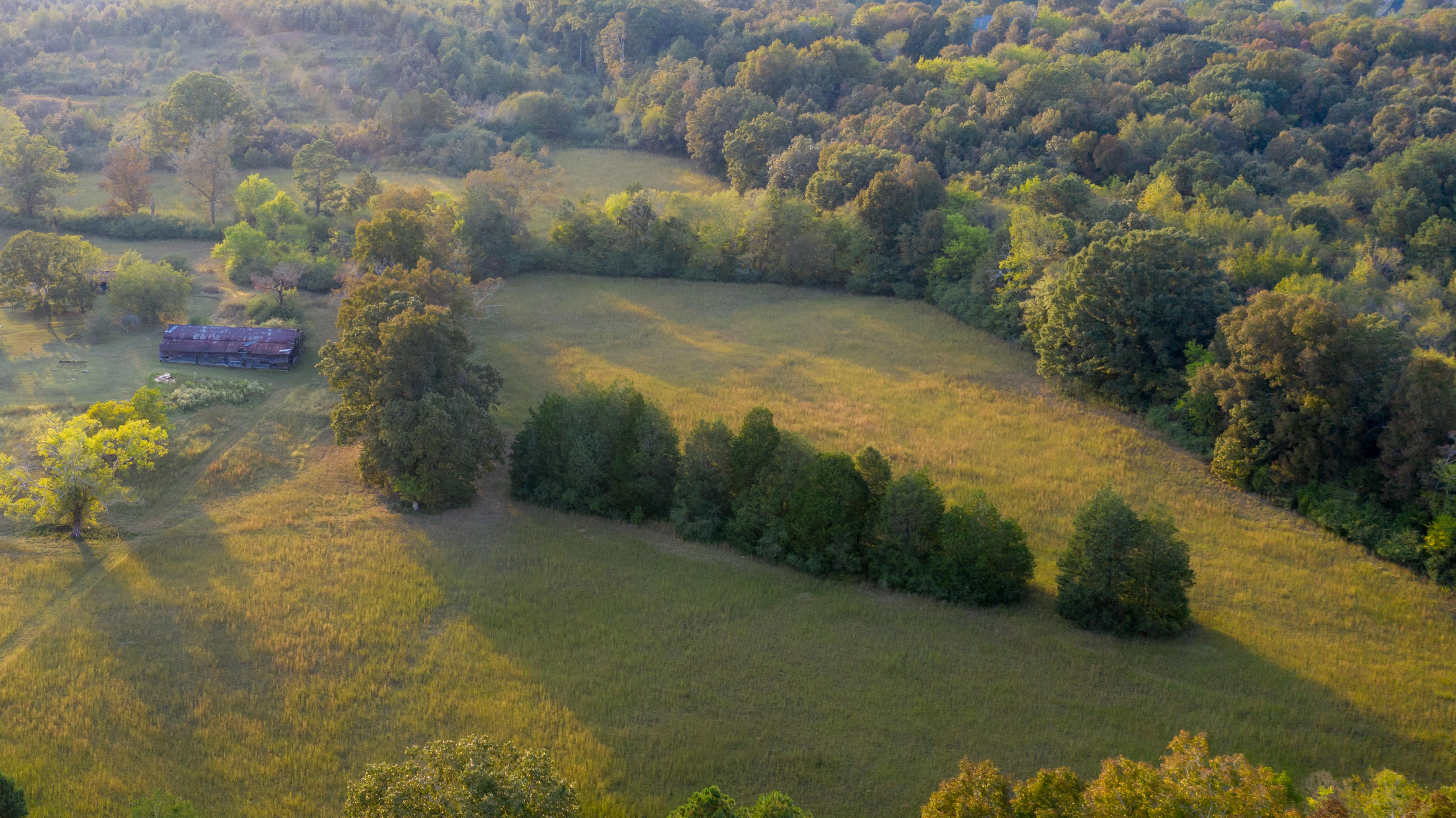 1930 Hair Lake Road Summerville, GA 30747 - Photo 3 of 6 DJI_0213