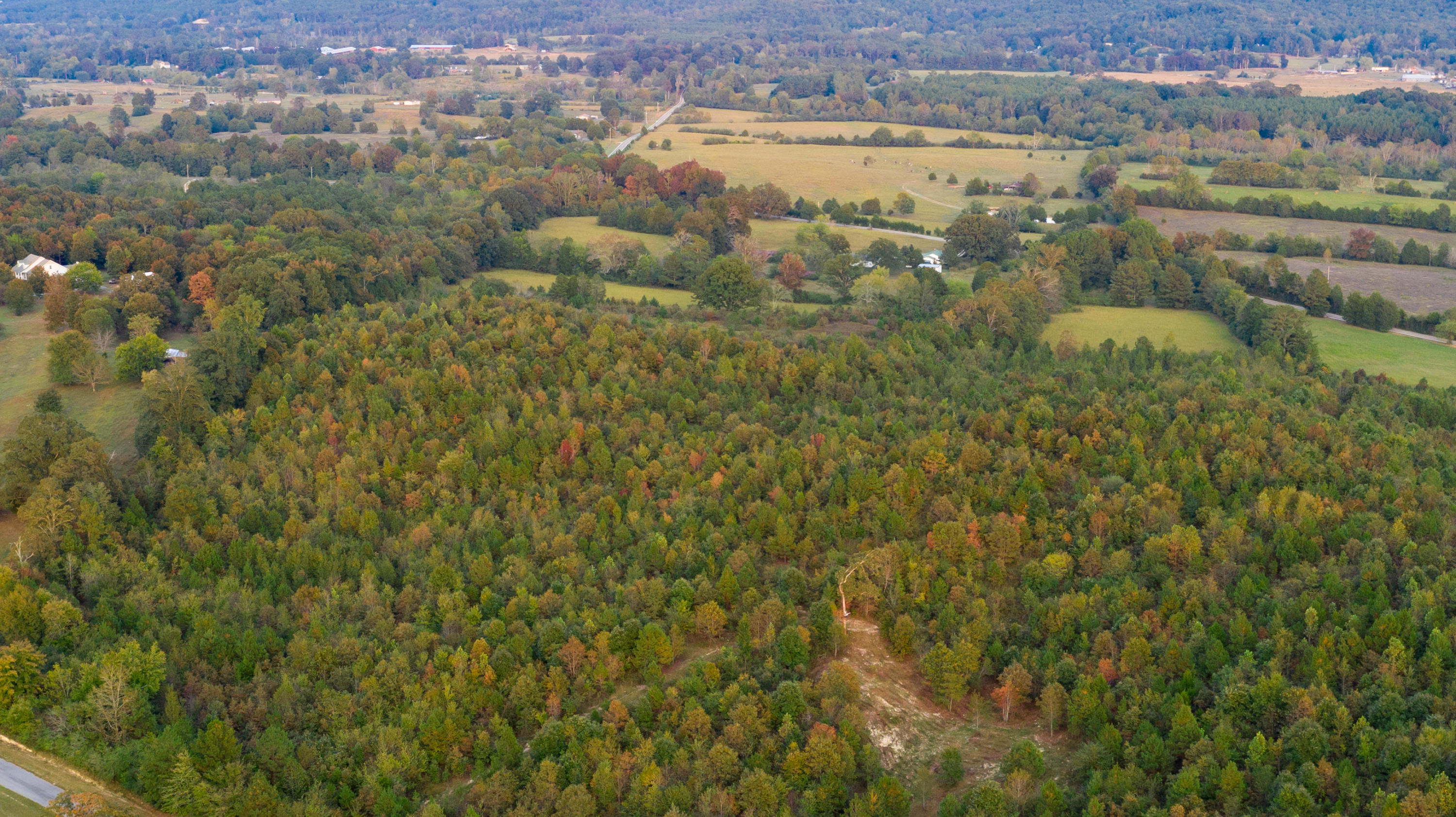1930 Hair Lake Road Summerville, GA 30747 - Photo 4 of 6 DJI_0227