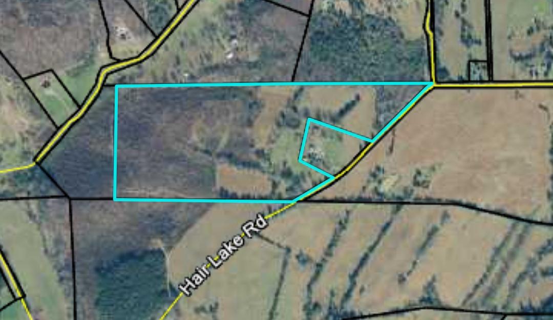 1930 Hair Lake Road Summerville, GA 30747 - Photo 6 of 6 20191003_090109