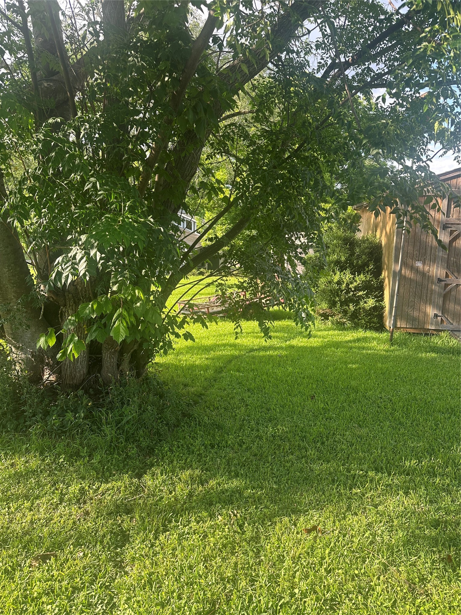 Tbd Tbd Terrace Dr Point Point Blank, TX 77364 - Photo 2 of 5