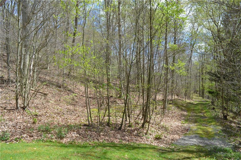 150 Adams Road Kittanning, PA 16201 - Photo 25 of 25 Nice trails through the woods. Great for taking those long strolls or riding your atv