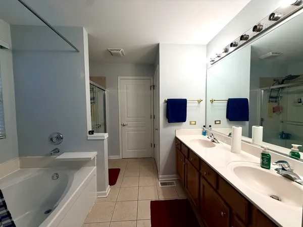 a bathroom with a double vanity sink mirror double and bathtub
