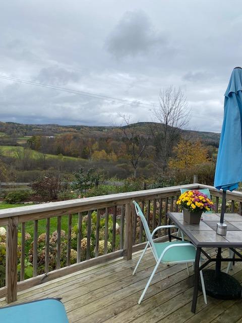 395 Rezen Road Roseboom, NY 13450 - Photo 19 of 22