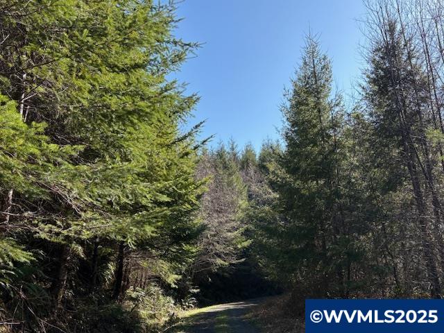 0 Steer Creek Road Blodgett, OR 97326 - Photo 10 of 14