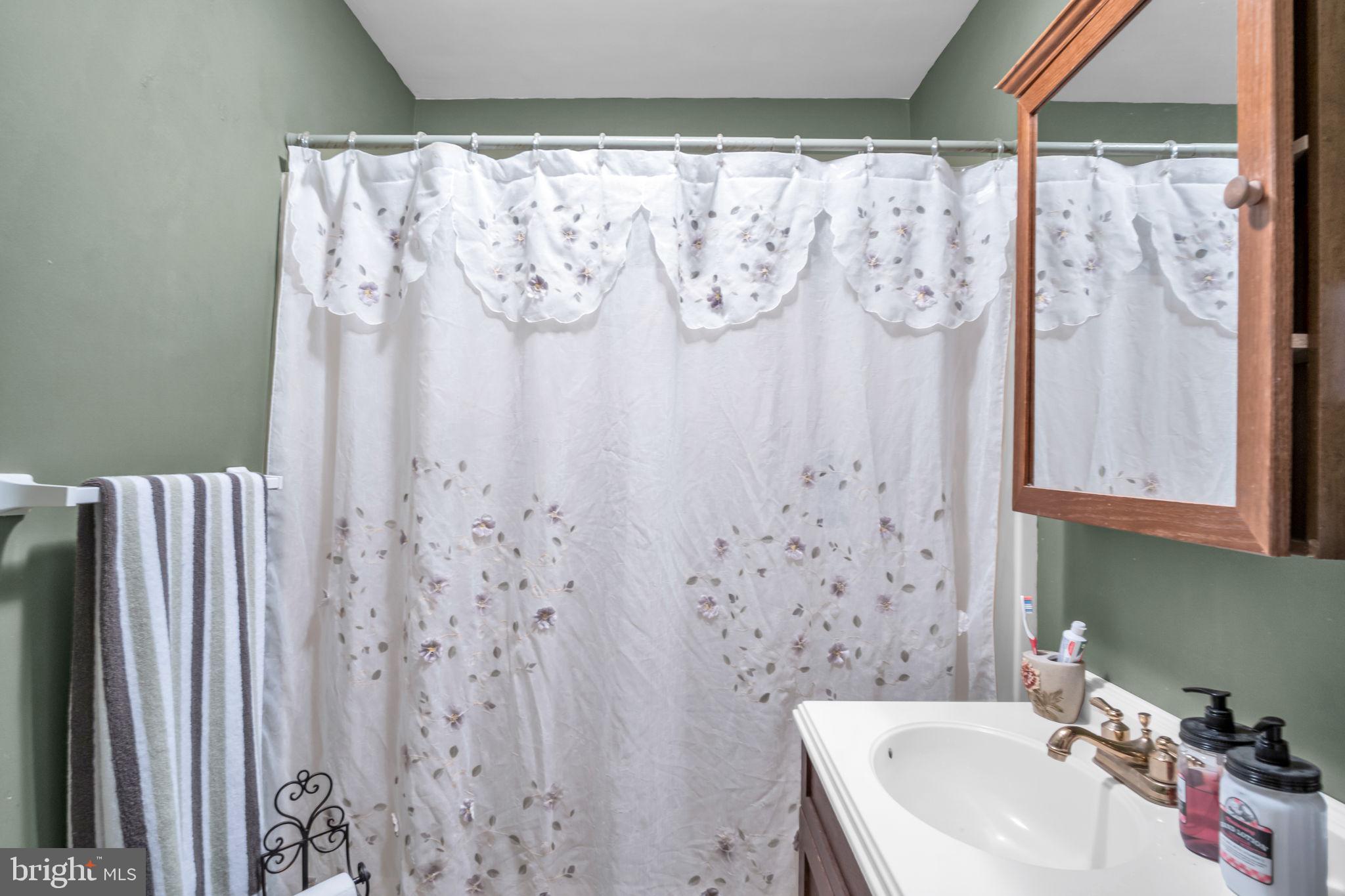 1036 Smith Hill Road York, PA 17408 - Photo 13 of 31 a bathroom with a shower curtain and a sink