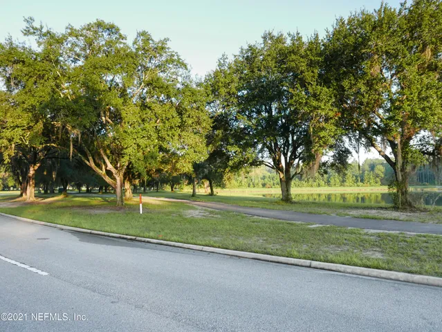 a view of a yard with large trees