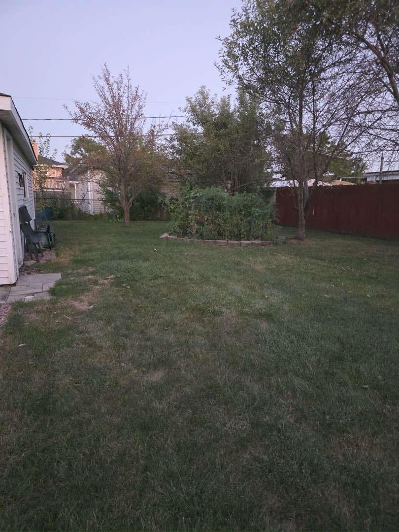 7749 Odell Avenue Bridgeview, IL 60455 - Photo 17 of 18