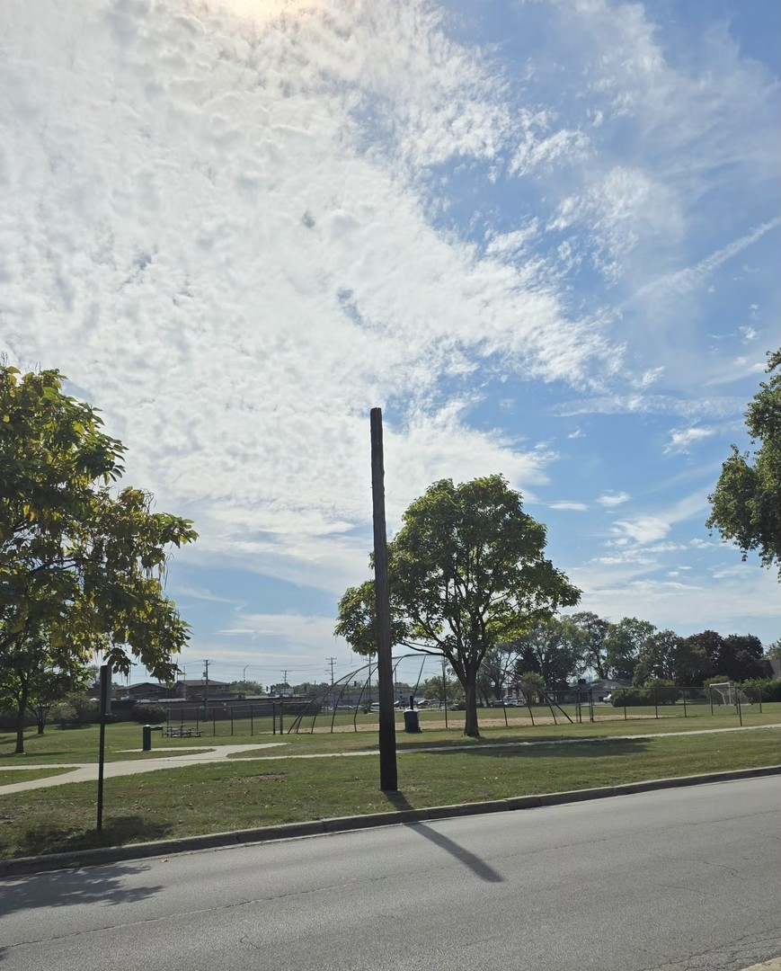 7749 Odell Avenue Bridgeview, IL 60455 - Photo 7 of 18