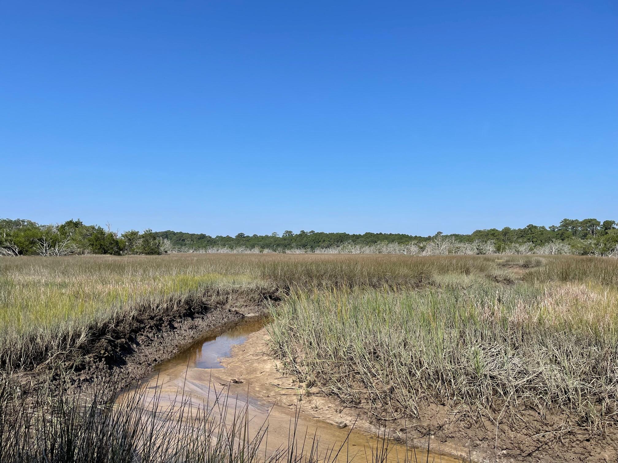 8456 Shell House Road Edisto Island, SC 29438 - Photo 15 of 17 IMG_3326