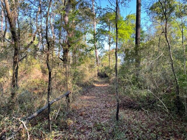 8456 Shell House Road Edisto Island, SC 29438 - Photo 3 of 17 IMG_4017
