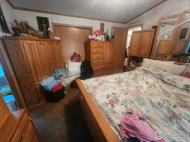 a bedroom with a bed and a closet