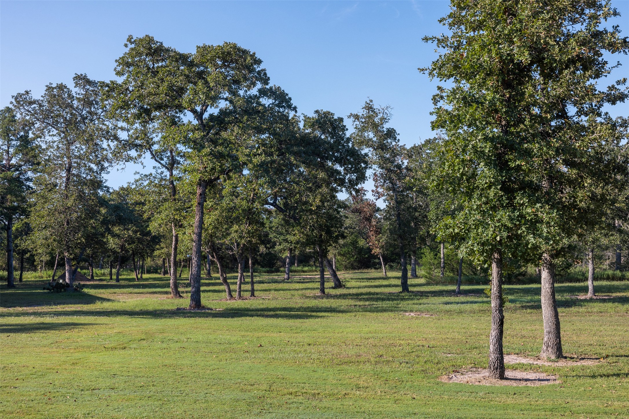 7541 Halamicek Loop Fayetteville, TX 78940 - Photo 14 of 29 a view of a park