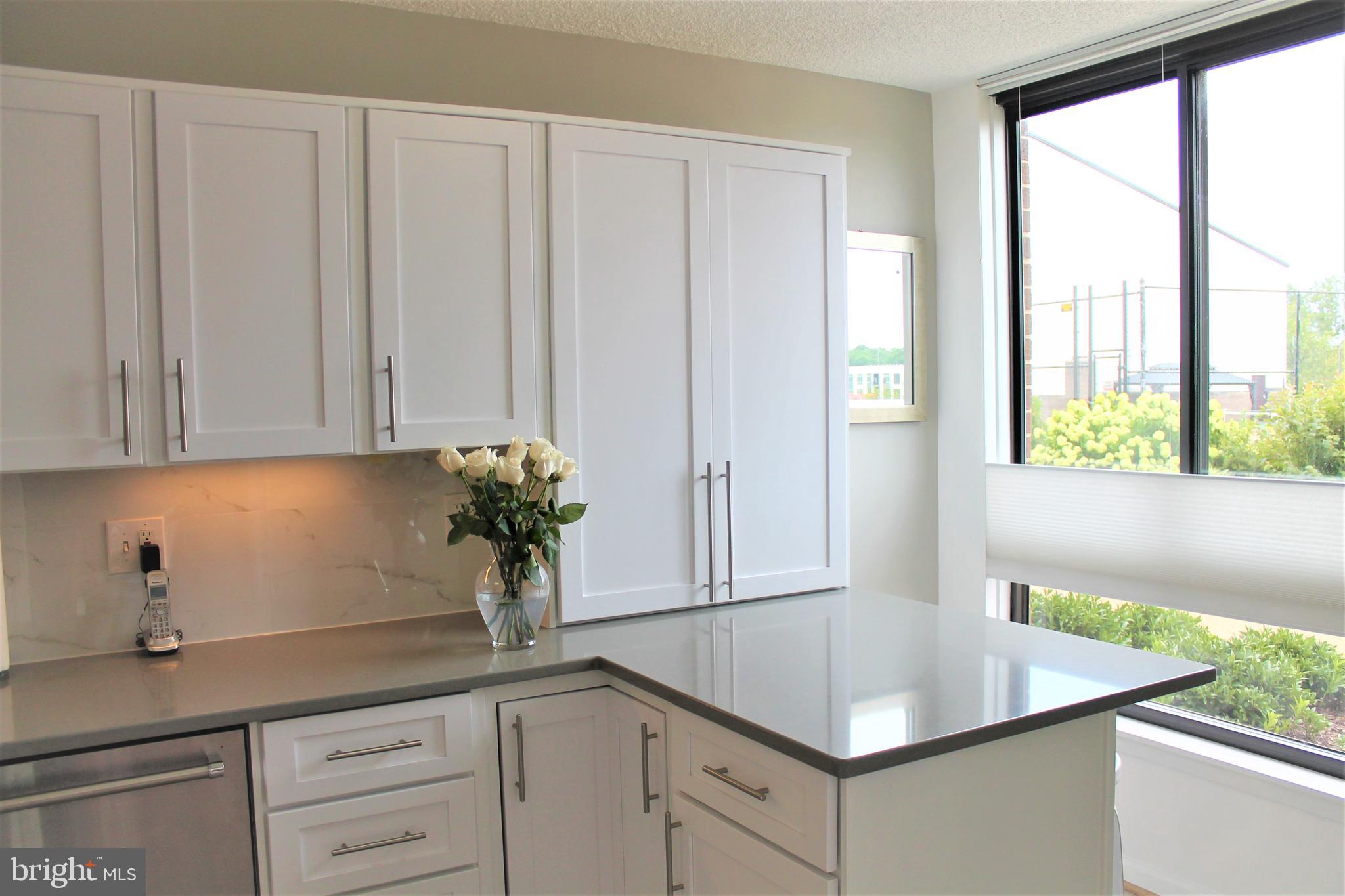 1800 Old Meadow Road, Unit 101 McLean, VA 22102 - Photo 4 of 50