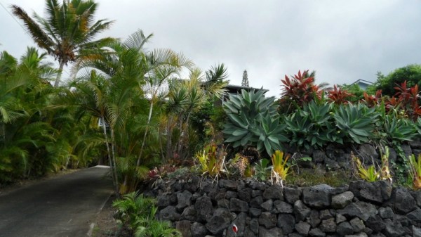 87-3200 B Road Captain Cook, HI 96704 - Photo 19 of 19 Gallery Image 19