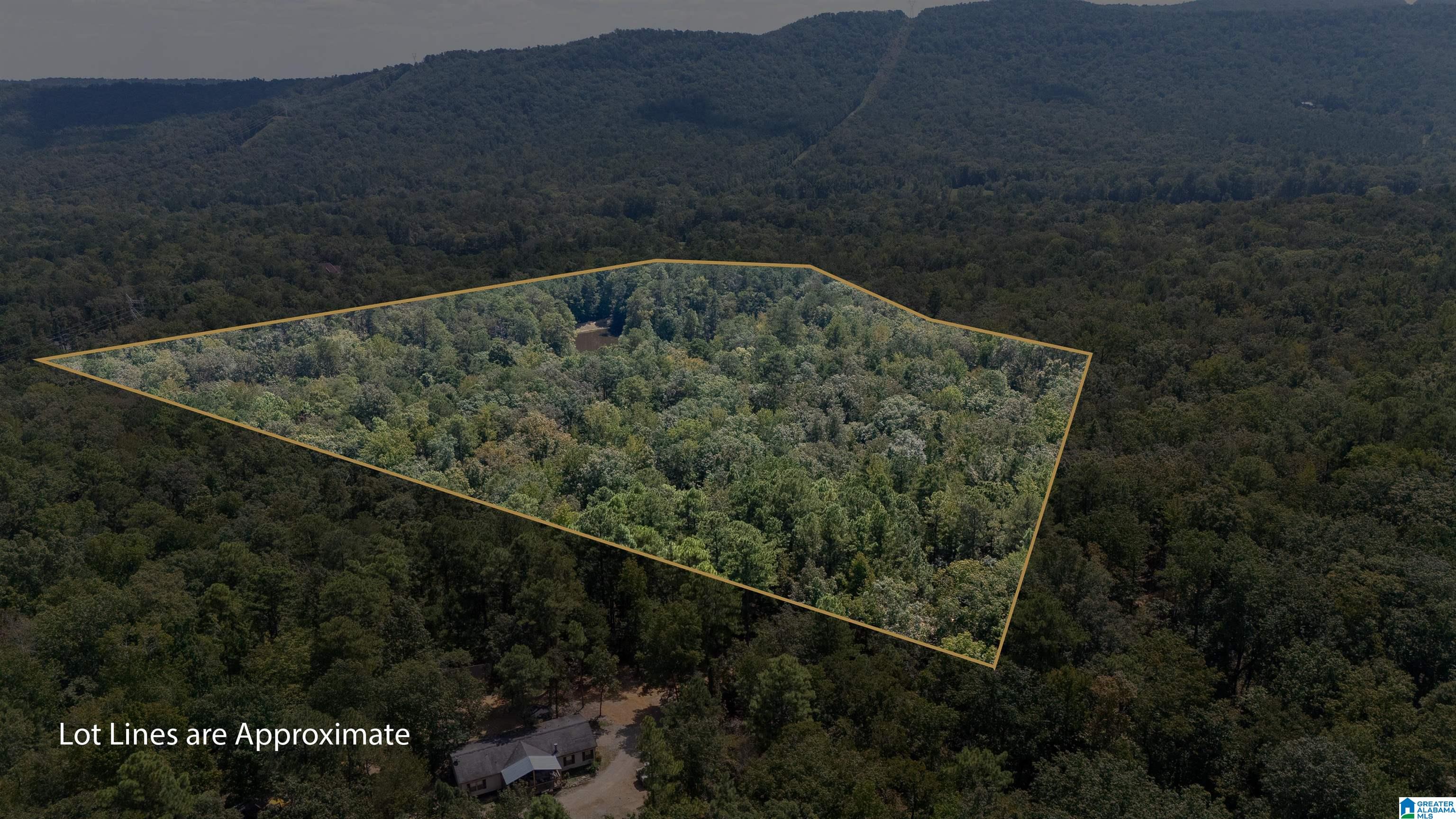 9215 Bear Creek Road Sterrett, AL 35147 - Photo 90 of 99