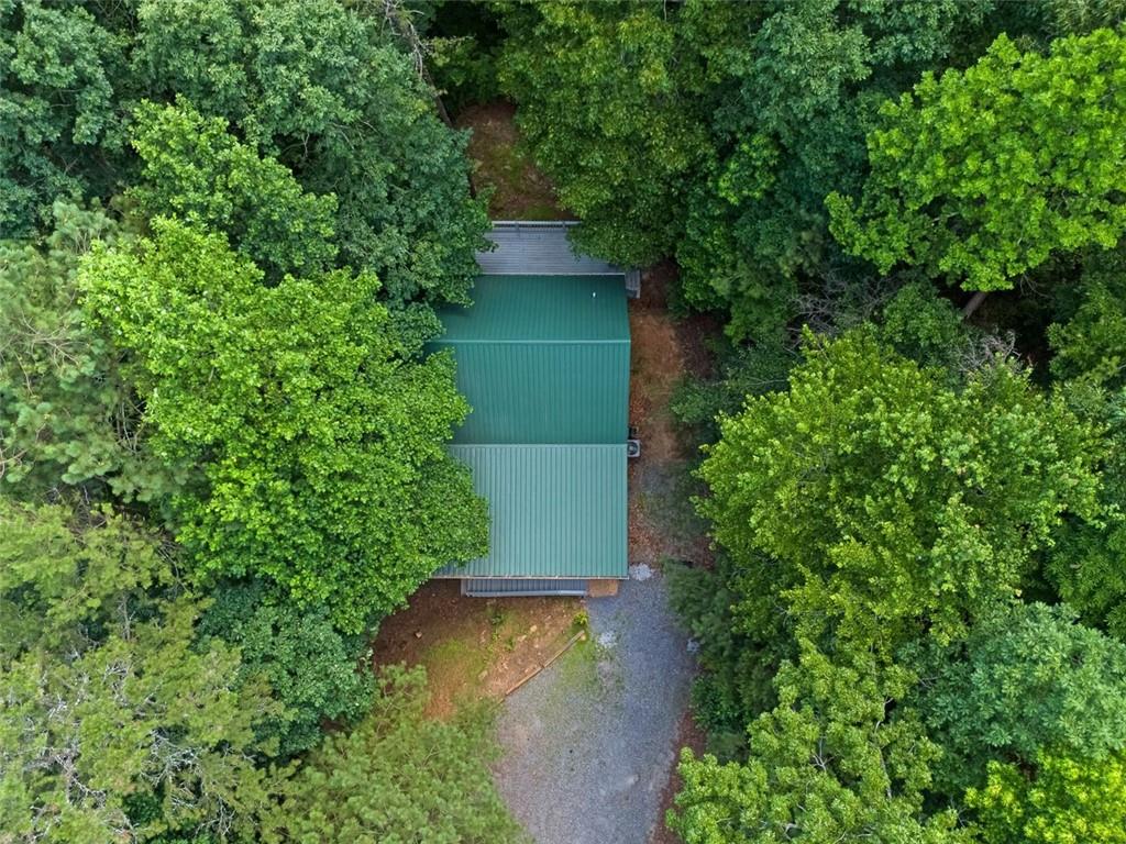 129 Jump Street Talking Rock, GA 30175 - Photo 4 of 45 an aerial view of a house with a yard and large trees