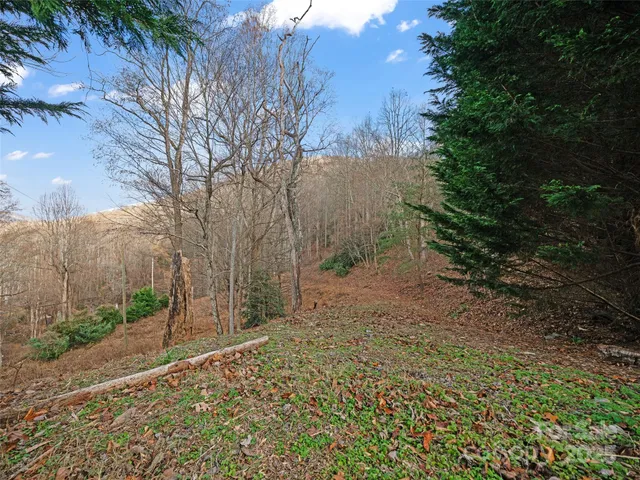 $450,000 | 99999 Flora Rose Trail, Asheville, NC 28803
