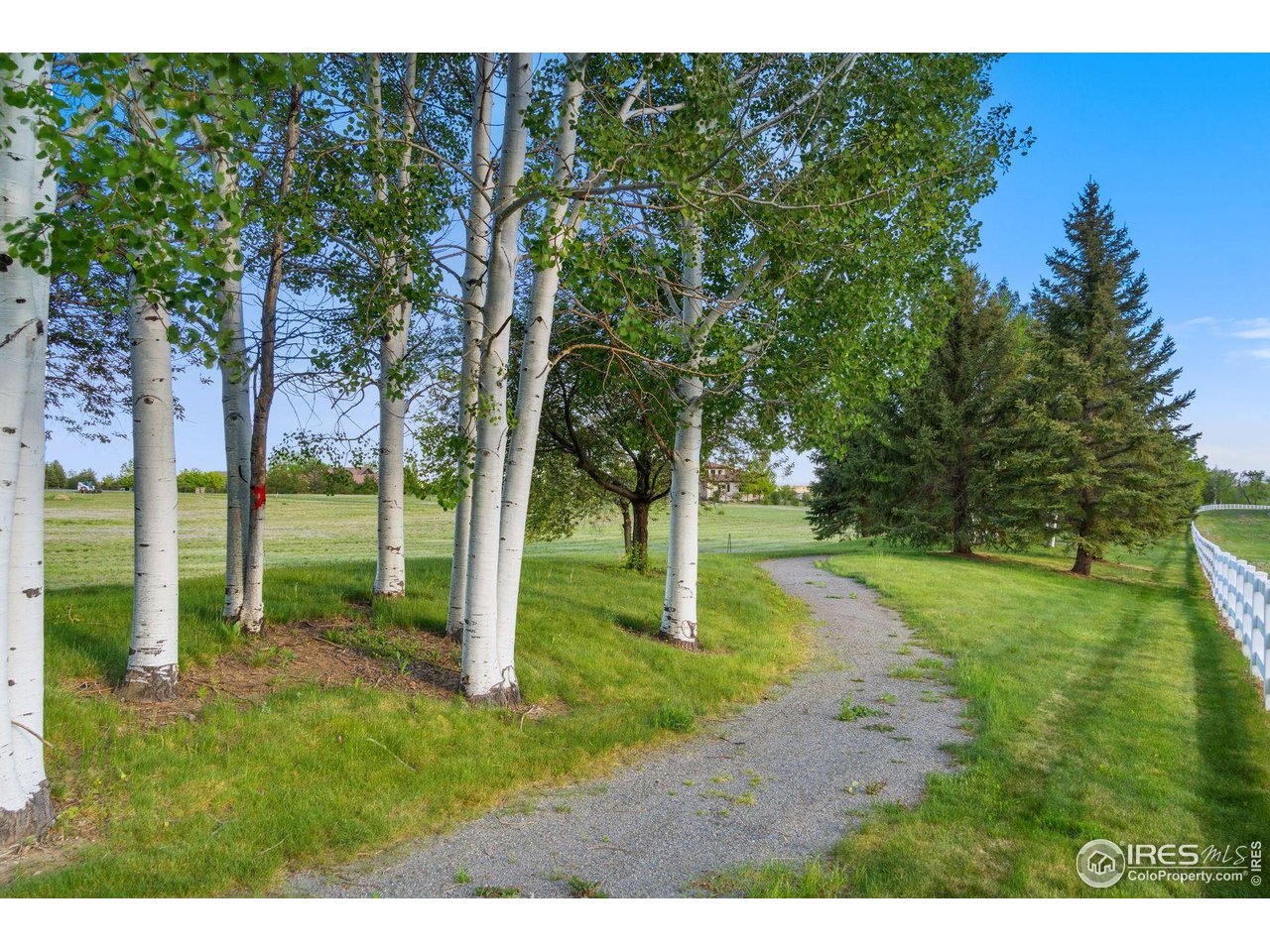 9715 Meadow Ridge Lane Longmont, CO 80504 - Photo 11 of 23 Private walking trails around the lake.