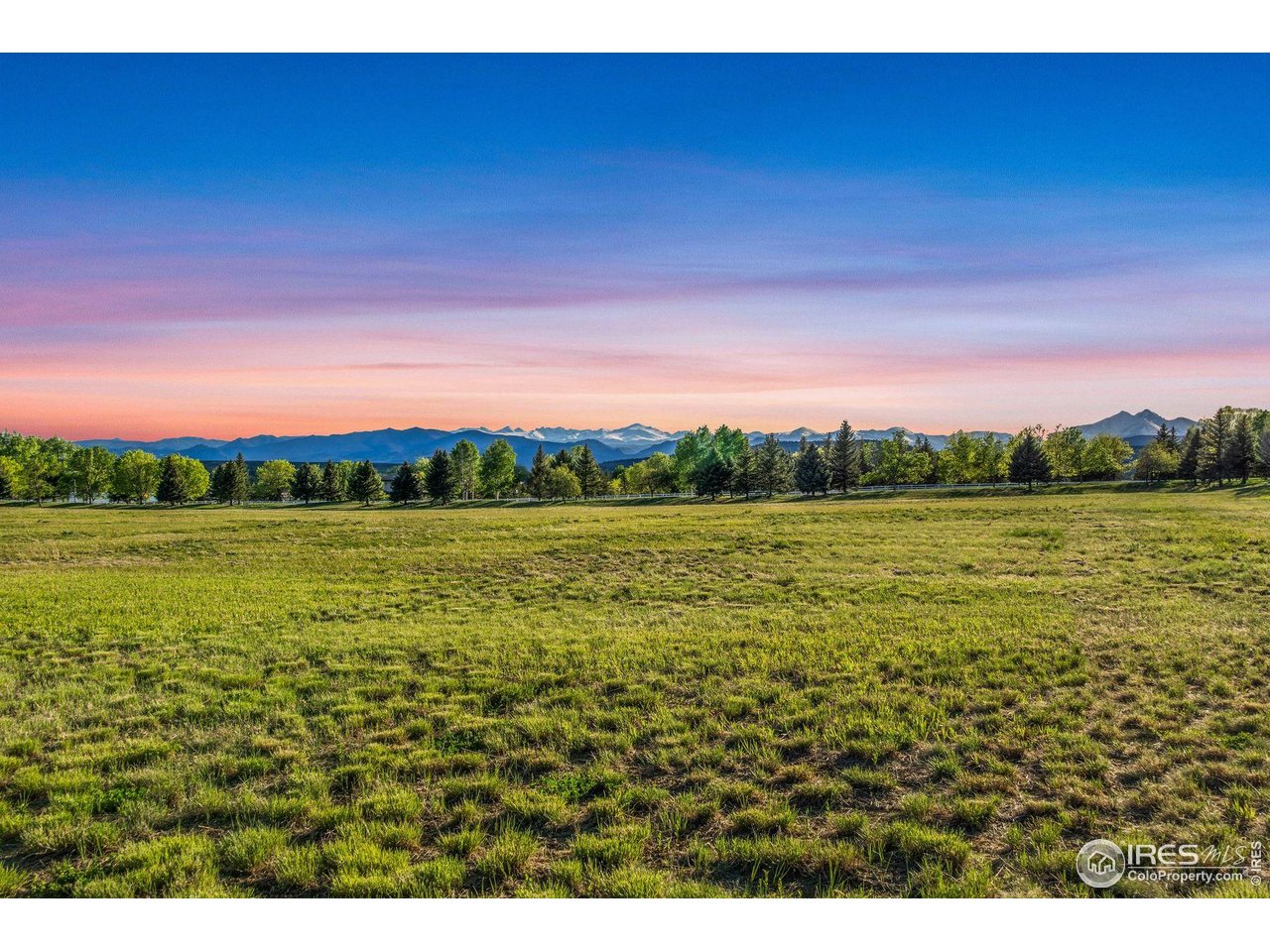 9715 Meadow Ridge Lane Longmont, CO 80504 - Photo 19 of 23 Evening view across lot.