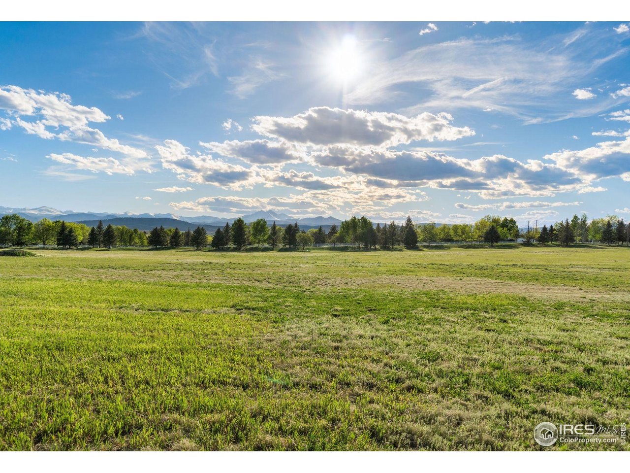 9715 Meadow Ridge Lane Longmont, CO 80504 - Photo 22 of 23 View across lot towards the west. No neighbors north or west.