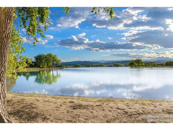a view of a lake from a yard